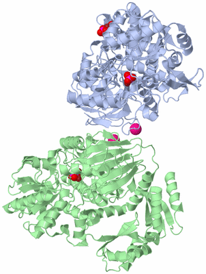 Image Asym./Biol. Unit