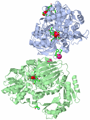 Image Asym./Biol. Unit - sites