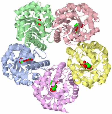 Image Biological Unit 1