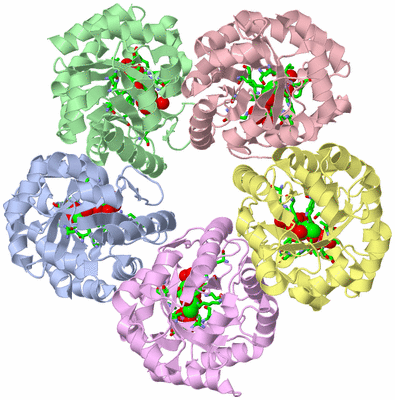 Image Biol. Unit 1 - sites