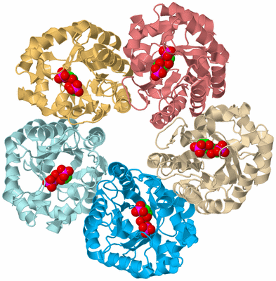 Image Biological Unit 2