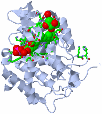 Image Biol. Unit 1 - sites