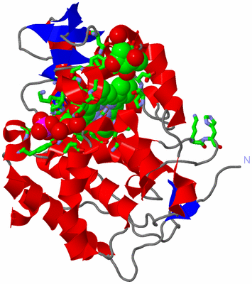 Image Asym. Unit - sites