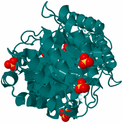 Image Biological Unit 1