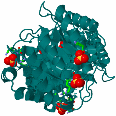 Image Biol. Unit 1 - sites