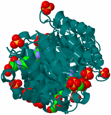 Image Biological Unit 1