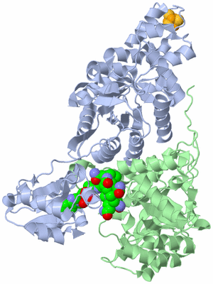 Image Asym./Biol. Unit