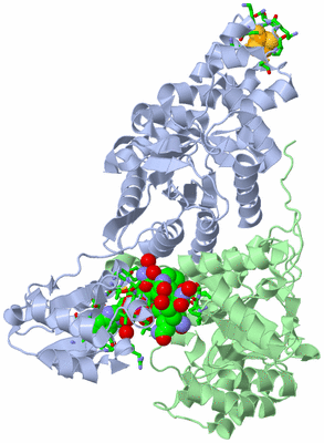 Image Asym./Biol. Unit - sites