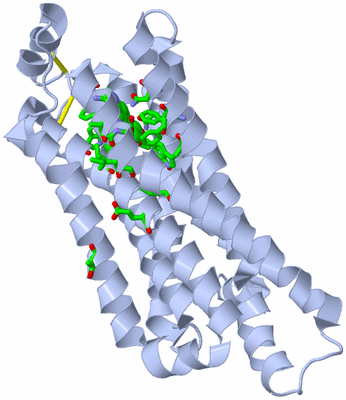 Image Biol. Unit 1 - sites