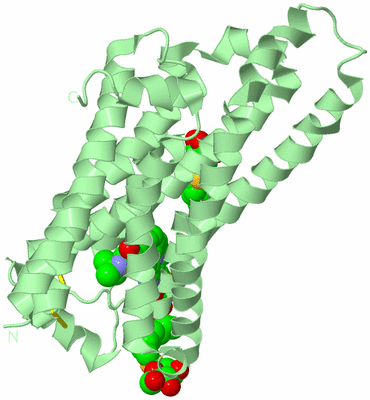 Image Biological Unit 2