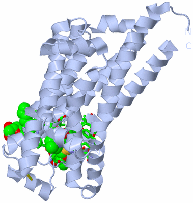 Image Biol. Unit 1 - sites