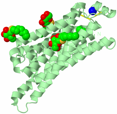 Image Biological Unit 2