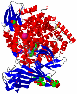 Image Asym./Biol. Unit