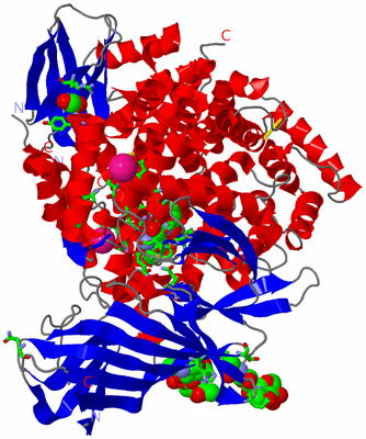 Image Asym./Biol. Unit - sites