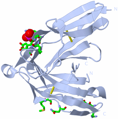 Image Biol. Unit 1 - sites