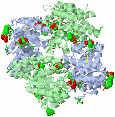 Image Biol. Unit 1 - sites