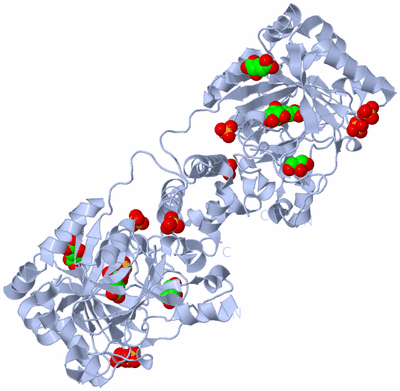 Image Biological Unit 1