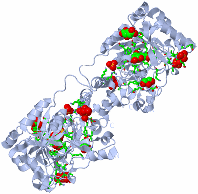 Image Biol. Unit 1 - sites