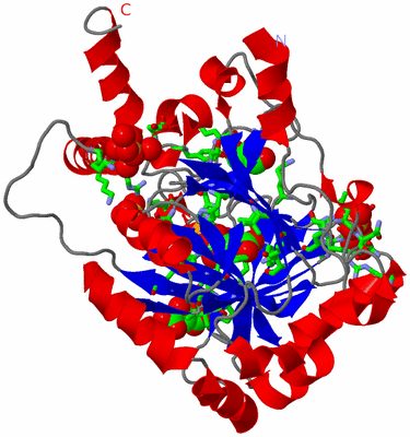 Image Asym. Unit - sites