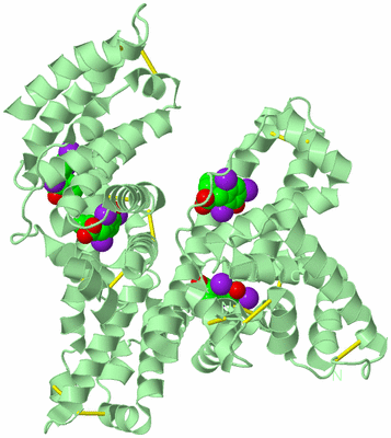 Image Biological Unit 2