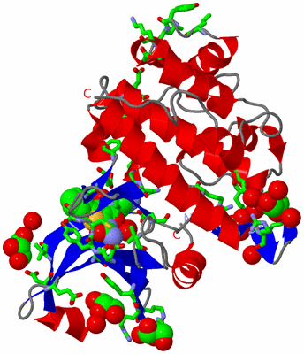 Image Asym./Biol. Unit - sites