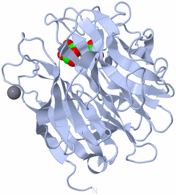 Image Biological Unit 1