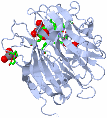 Image Biol. Unit 1 - sites