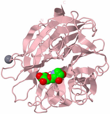 Image Biological Unit 3