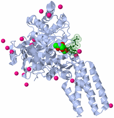 Image Asym./Biol. Unit