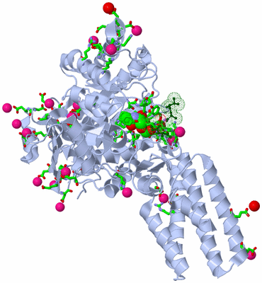 Image Asym./Biol. Unit - sites