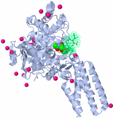 Image Asym./Biol. Unit