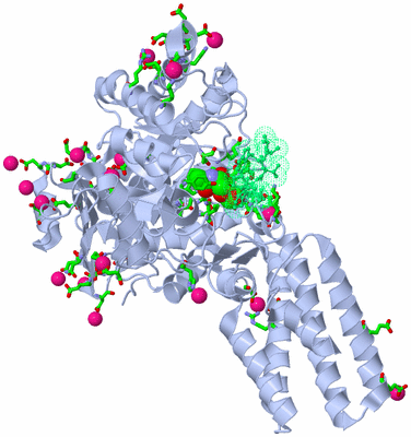 Image Asym./Biol. Unit - sites