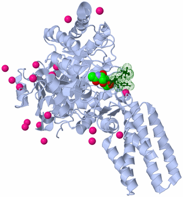 Image Asym./Biol. Unit