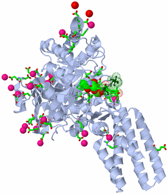 Image Asym./Biol. Unit - sites