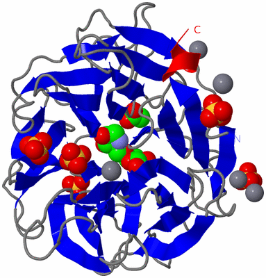 Image Asym./Biol. Unit