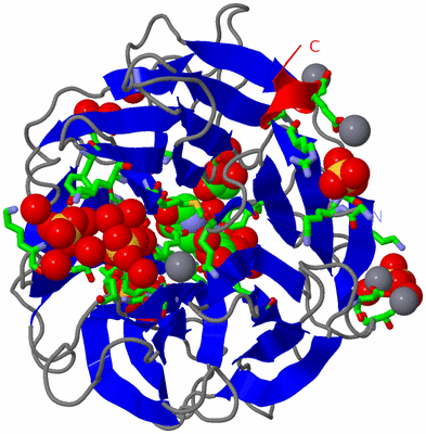 Image Asym./Biol. Unit - sites