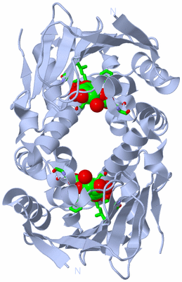 Image Biol. Unit 1 - sites