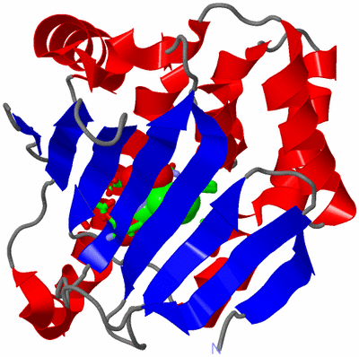 Image Asym. Unit - sites