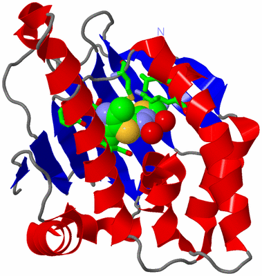 Image Asym./Biol. Unit - sites