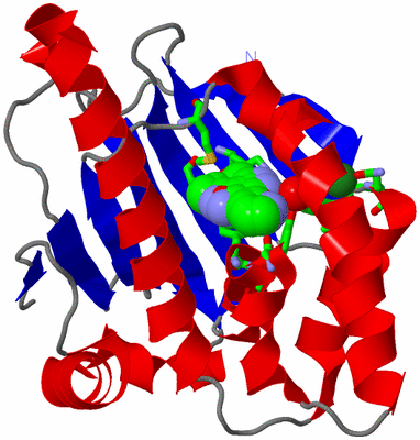 Image Asym. Unit - sites