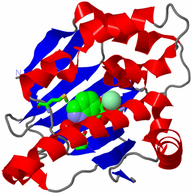 Image Asym. Unit - sites