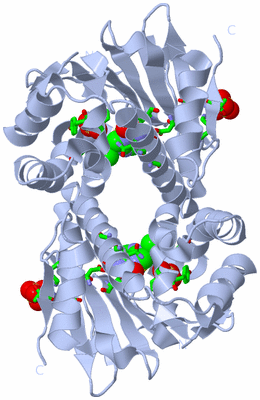 Image Biol. Unit 1 - sites