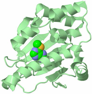 Image Biological Unit 2