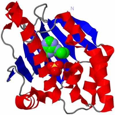 Image Asym./Biol. Unit