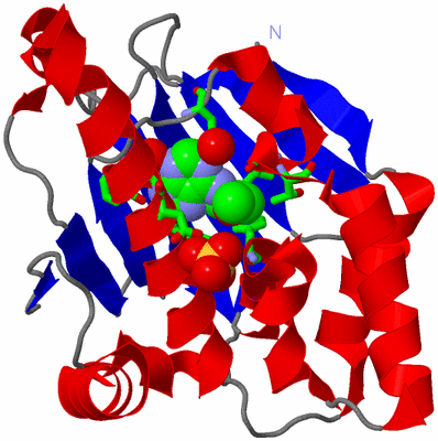 Image Asym./Biol. Unit - sites