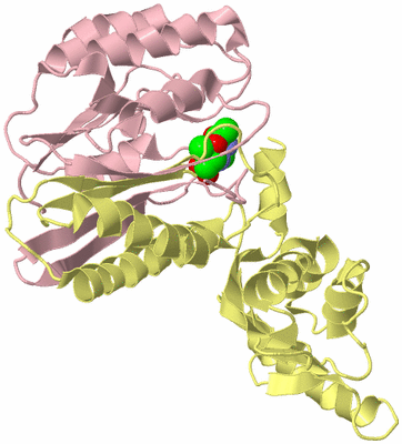 Image Biological Unit 2