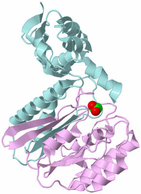 Image Biological Unit 3