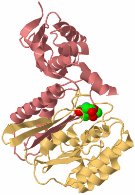 Image Biological Unit 4