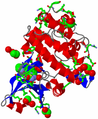 Image Asym./Biol. Unit - sites