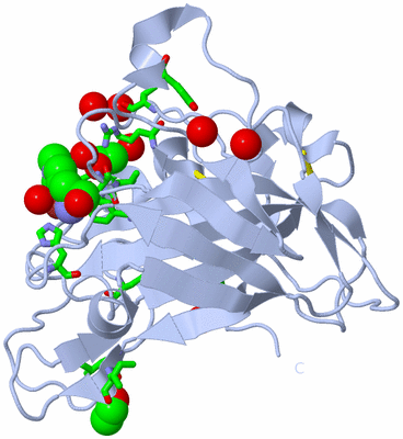 Image Biol. Unit 1 - sites